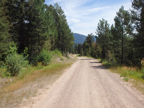 GDMBR: East-northeast on NF-477, MT.
